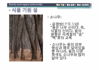 용의 기원과 문화, 그리고 사유체계-14