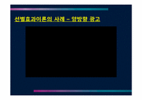 제한효과이론 레포트-8