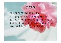 인터넷 언어 레포트-13