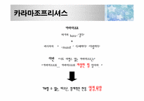 도스토예프스키의 `카라마조프 가의 형제들` 작품분석-7