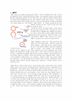GMO 동물 분야(형질전환 동물) 무균돼지-2