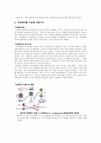 GMO 동물 분야(형질전환 동물) 무균돼지-9