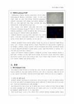 [영양학] 에너지음료 속 카페인-4