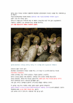 [생물] 육식의 폐해-12