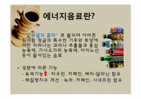[영양학] 에너지음료 속 카페인-4