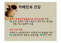 [영양학] 에너지음료 속 카페인-12