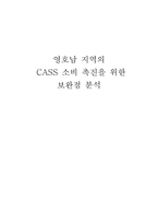 [마케팅조사론] 영호남 지역의 CASS(카스) 소비 촉진을 위한 보완점 분석-1