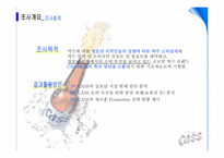 [마케팅조사론] 영호남 지역의 CASS(카스) 소비 촉진을 위한 보완점 분석-3