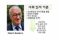 [아동발달] 아동발달 보고(Albert Bandura의 사회인지이론)-3