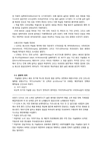 [남아시아역사와문명] 인도에서의 이슬람의 기원-4
