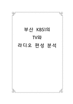 [방송편성론] 부산 KBS1의 TV와 라디오 편성 분석-1