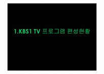 [방송편성론] 부산 KBS1의 TV와 라디오 편성 분석-5