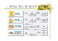 [생명과학] 바이오 에너지(BIO ENERGY)-10