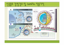 [유기화학] 신종플루의 메커니즘과 타미플루의 작용-6