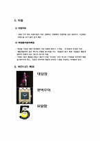 [국제 마케팅]샤넬 마케팅 사례 분석-3