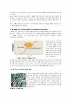 [품질경영] TPS-Toyota Production System 도요타 생산방식-2