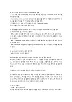 [이비지니스]페이스북(Facebook Site) 분석-8