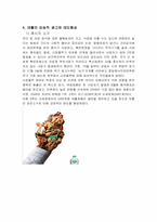 [마케팅](주)옥시레킷벤키저-데톨의 광고 분석-11