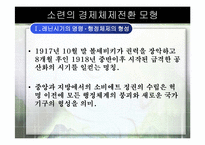 [경제체제론]소련의 경제체제전환 모형-3