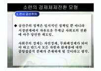 [경제체제론]소련의 경제체제전환 모형-8