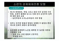 [경제체제론]소련의 경제체제전환 모형-10