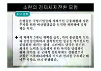 [경제체제론]소련의 경제체제전환 모형-15