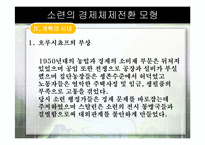 [경제체제론]소련의 경제체제전환 모형-19