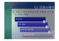 [무역경영]CJ그룹의 녹색경영전략과 사례연구-10