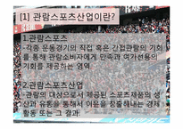 [스포츠마케팅] 관람 스포츠 산업 마케팅 사례-2