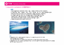 프랑스 지역연구 DOM & TOM-15