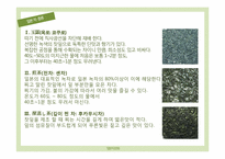 일본 차 문화 - 다도-4
