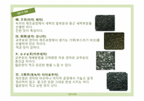 일본 차 문화 - 다도-6