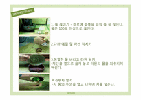 일본 차 문화 - 다도-11