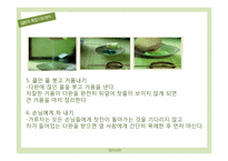 일본 차 문화 - 다도-12