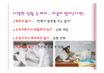 연인에 대한 배려-12