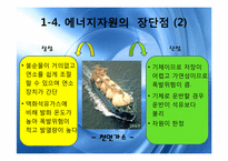 [세계화와 사회변동]자원 & 에너지 분쟁-8
