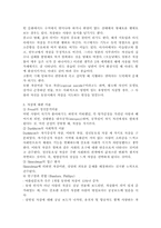 모방 자살의 원인 및 해결 방안, 베르테르 효과(Werther effect), 모방 자살 사례, 자살에 대한 이론-3