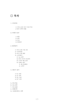 [광고전략] 하겐다즈 광고 캠페인 기획안-2