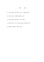 [국제경영학] 유진그룹의 하이마트 인수-2