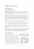 [국제경영] 동원 F&B 글로벌화전략 과 발전방안-11