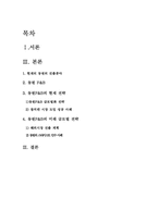 [국제경영] 동원 F&B 글로벌화전략 과 발전방안-14