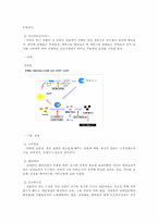 [전자상거래] 화장품 주문 사업계획서-7