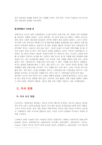 [해외투자론] 러시아 투자유치정책-7