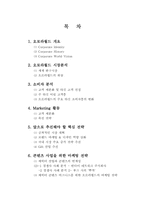 오로라월드 마케팅전략-2