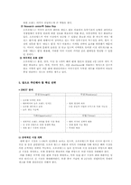 오로라월드 마케팅전략-9