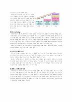오로라월드 마케팅전략-12