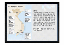 [해외투자론] 베트남 기업진출현황-13