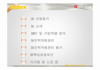 SK 전략적 인적자원관리-2