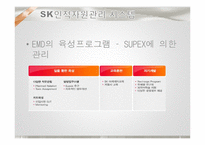 SK 전략적 인적자원관리-20