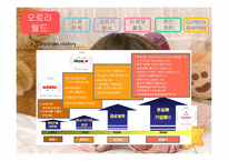 오로라월드 마케팅전략-4